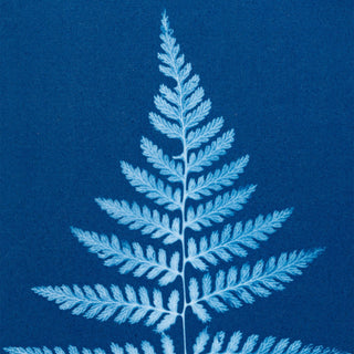 A cyanotype print featuring a pale blue fern frond centered on a deep blue background.