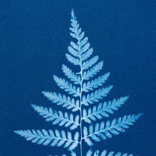 A cyanotype print featuring a pale blue fern frond centered on a deep blue background.
