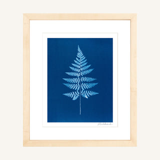 A framed botanical cyanotype art print featuring a light blue fern leaf on a deep blue background, matted with white and enclosed in a light natural wood frame.