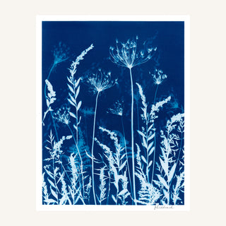 A botanical art print featuring white wildflower silhouettes on a deep blue background, presented with a white border on a light beige backdrop.
