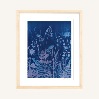 A framed botanical cyanotype art print featuring light blue wildflower and fern silhouettes on a deep indigo blue background, matted in white with a light natural wood frame.