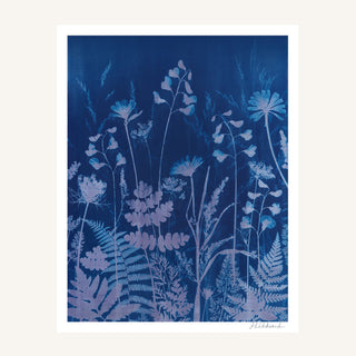 A botanical cyanotype art print featuring light lavender and pale blue wildflower silhouettes on a deep navy blue background, presented with a white border on a warm off-white background.