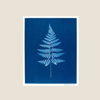 A cyanotype art print featuring a light blue fern frond centered on a deep blue background, bordered by a white margin and shown against a warm beige backdrop.