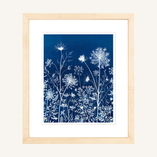 Queen Anne's Lace I Cyanotype Print