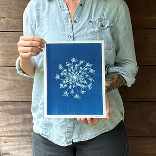 A person wearing a light blue button-up shirt holds up a cyanotype art print featuring a white Queen Anne's lace blossom on a deep blue background, set against a dark wood plank wall.