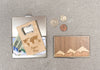 Stripe Card Case Teal & Walnut